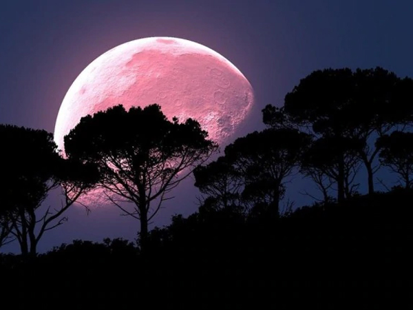 Bersiap Warnai Isolasi Di Rumah dengan Memandang Super Pink Moon di Langit Cerah Besok!