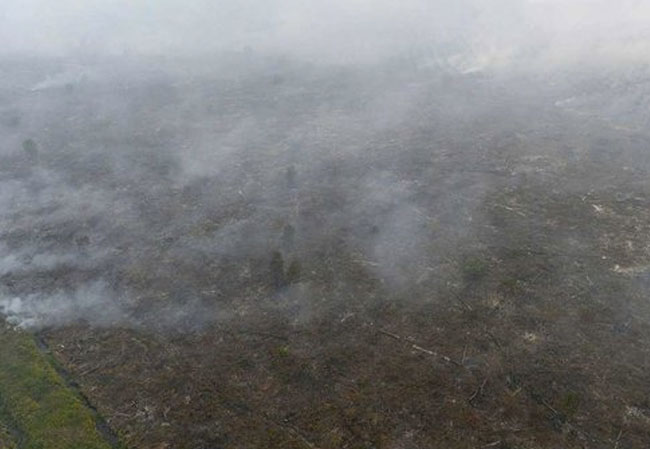 Kebakaran Lahan dan Hutan Kembali Terjadi di Riau