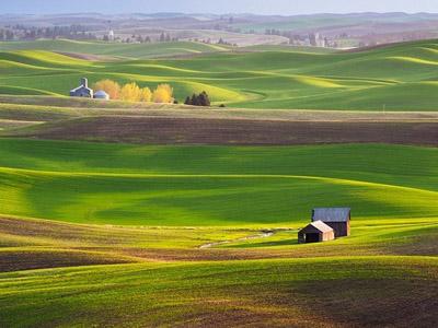 Palouse, Padang Rumput Tercantik di Dunia