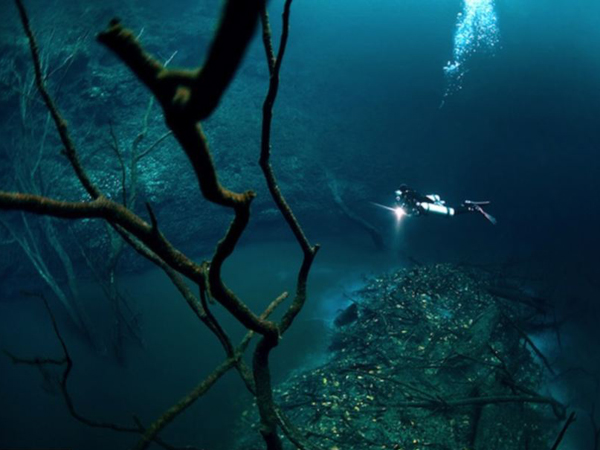 Aneh tapi Nyata, Sungai Ini Berada Di Dasar Laut!