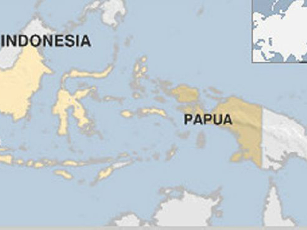 Gempa 7,2 SR Guncang Tengah Hutan Papua Timbulkan Kepanikan Warga