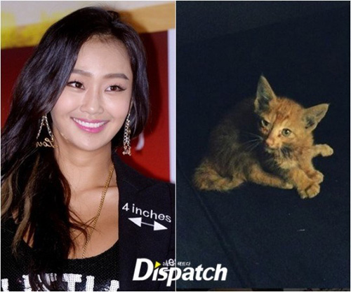 Selamatkan Kucing Liar, Kisah Kebaikan Hyorin Sistar Jadi Viral